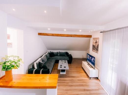 Apartman Aleksandar Lux Palić Zewnętrze zdjęcie