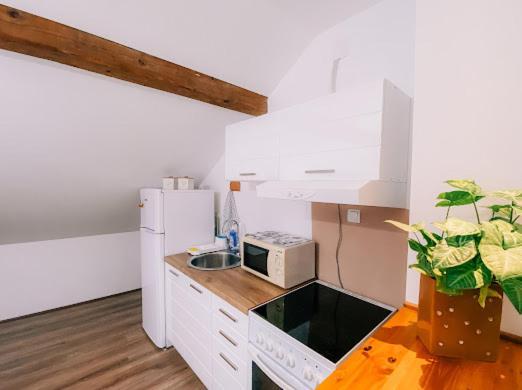 Apartman Aleksandar Lux Palić Zewnętrze zdjęcie